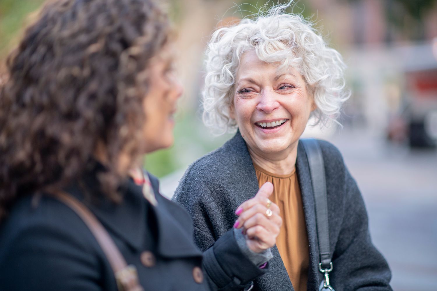 Untitled design - 2024-11-11T162939.907