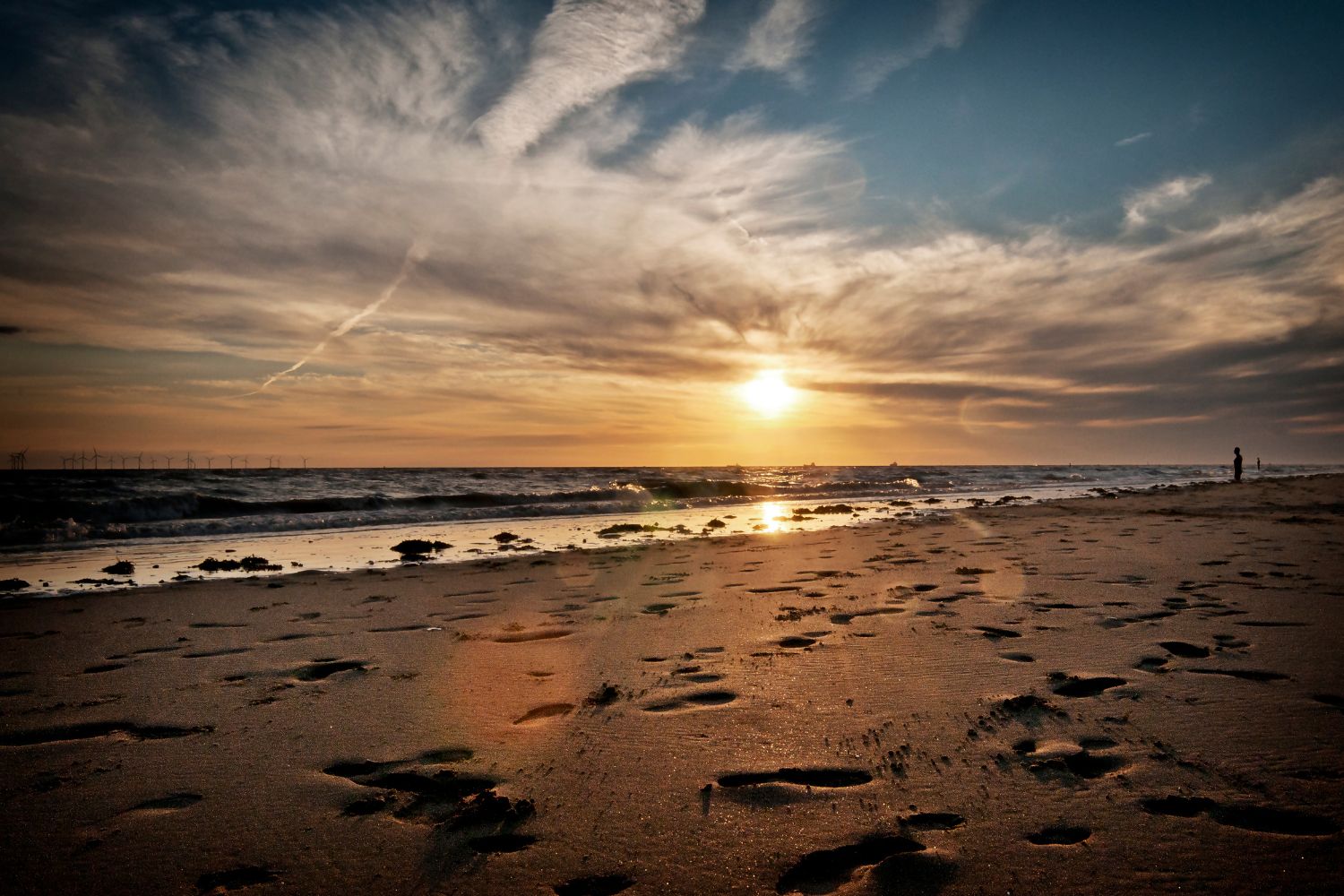 Untitled design - 2024-11-11T164222.206