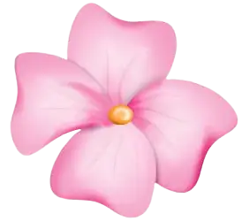 pink-flower-vector